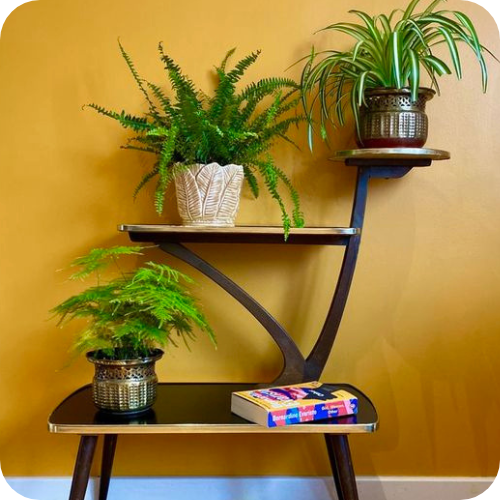 Plant on stands