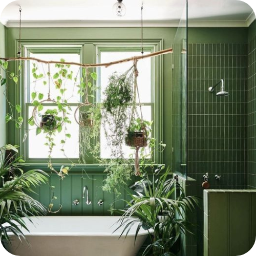 Plants in bathroom