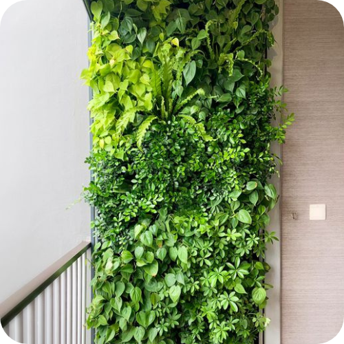 Vertical plants wall